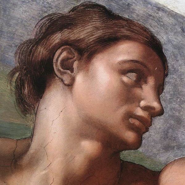 Adam from Michelangelo's Creation of Adam — close-up portrait